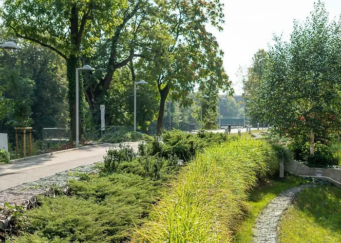 Art Market Square * Wroclaw